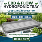 ebb_flow_hydroponic_tray