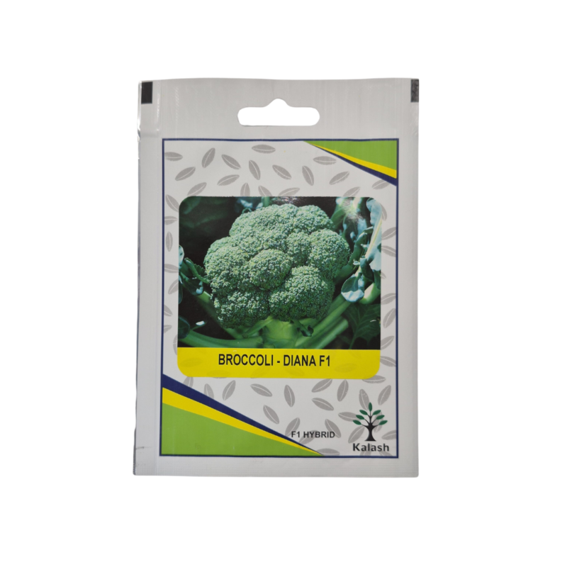 seeds-kalash-braccoli