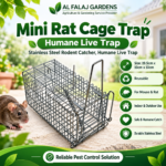 Mini Rat Cage Trap – Stainless Steel Rodent Catcher, Humane Live Trap
