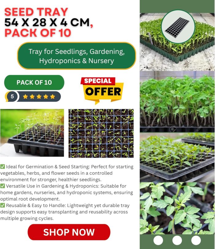 pack of 10