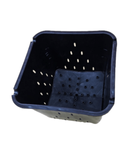 dutch bucket system