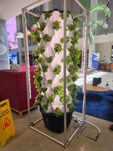 Hydroponic- pineapple tower