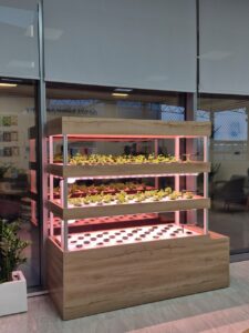 hydroponic ebb & flow