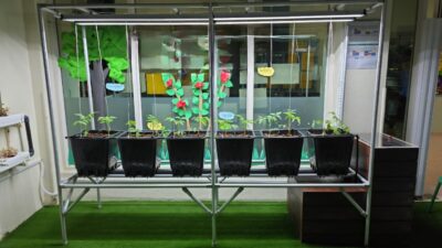 hydroponic breathable pot system