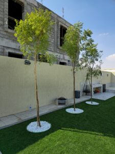 Landscaping