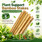 Plant Support Bamboo Stakes | 240 cm Height x 22–24 mm Thickness