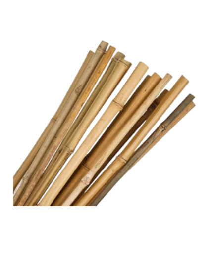 bamboo stakes