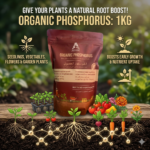 Organic Phosphorous Fertilizer 1 kg