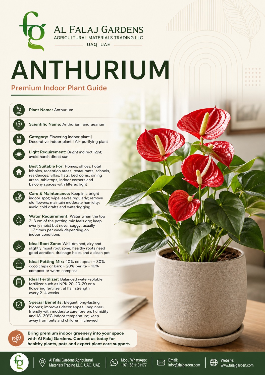 2. Anthurium-ENG 2. Anthurium-ENG