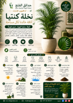 24. Kentia Palm ARABIC