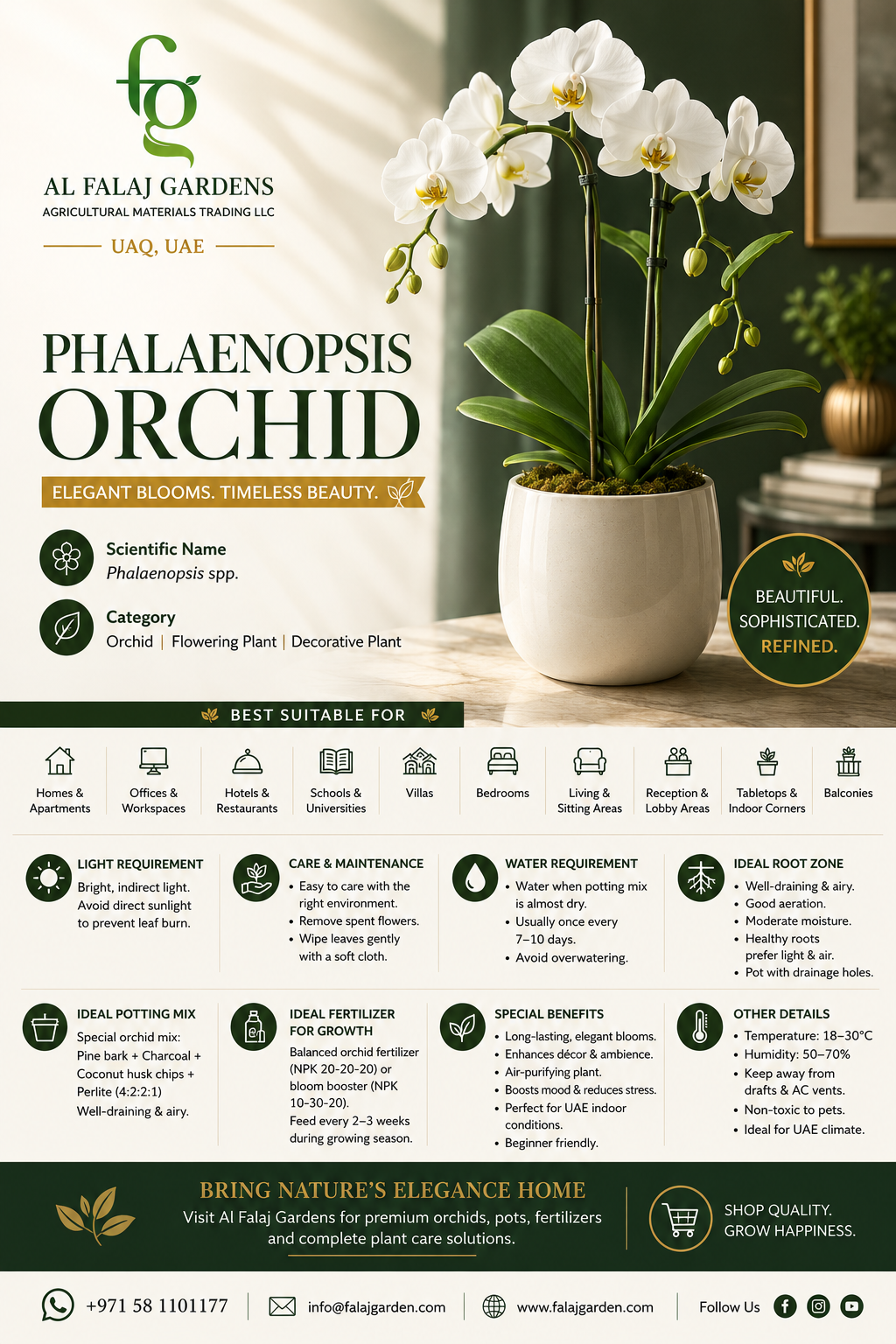 3.Phalaenopsis Orchid. ENG 3.Phalaenopsis Orchid. ENG