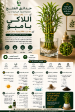 36. Lucky Bamboo ARABIC