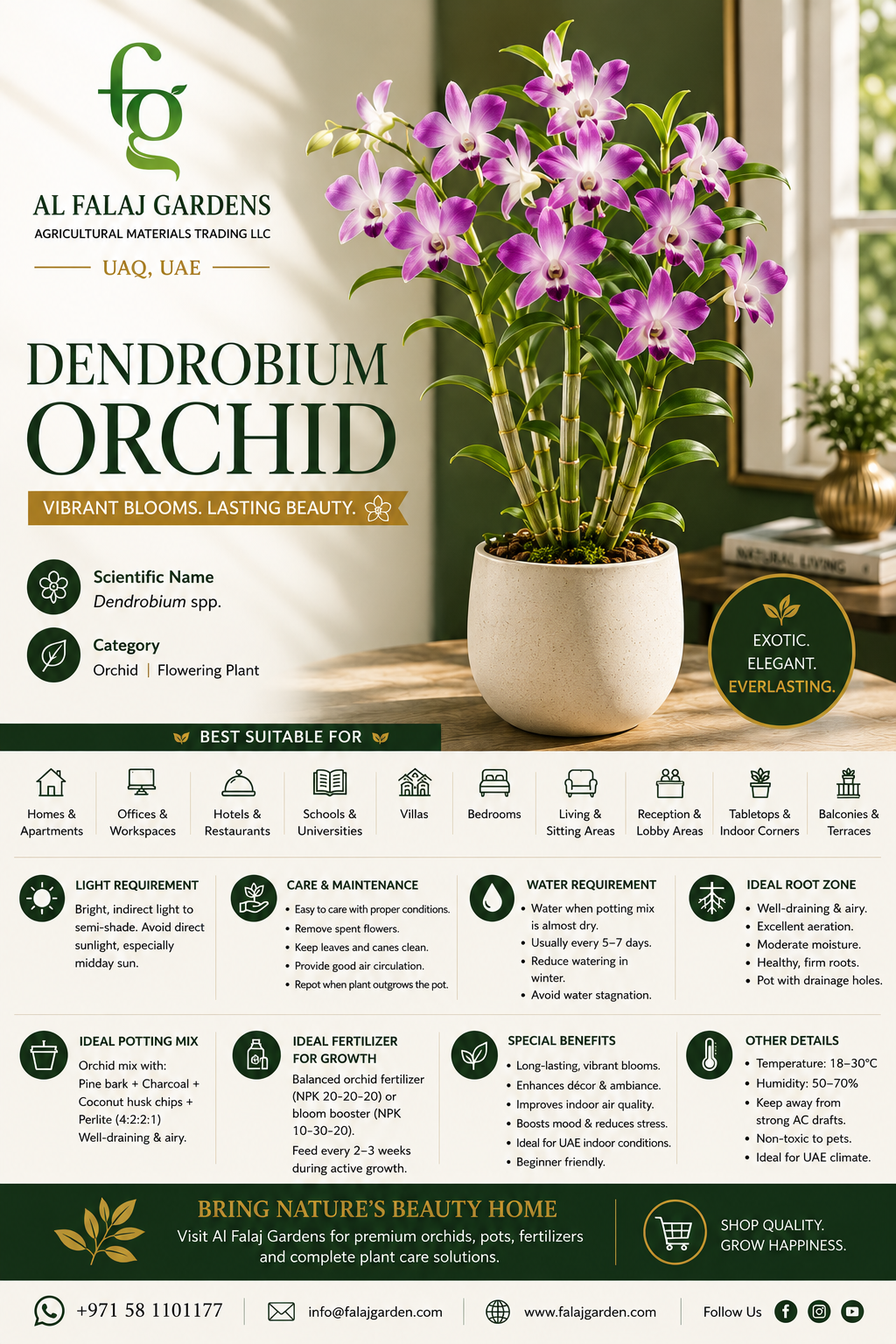 4. Dendrobium Orchid-ENG 4. Dendrobium Orchid-ENG