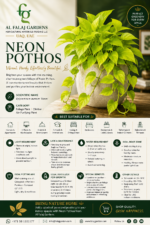 9. Neon Pothos ENG