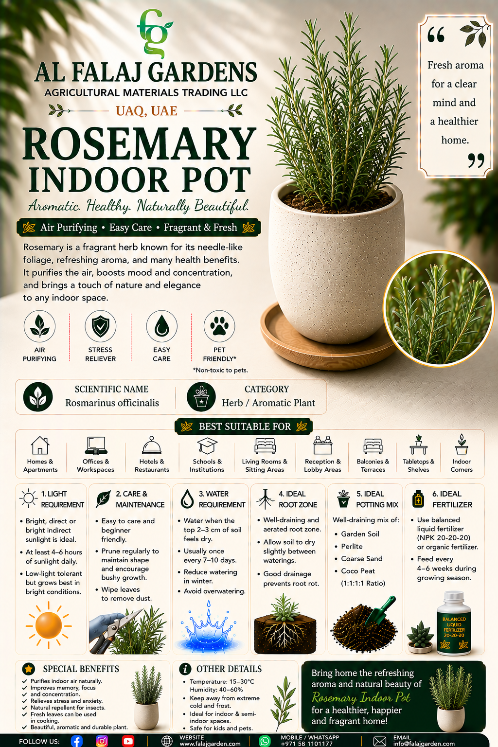 102. Rosemary Indoor Pot ENG 102. Rosemary Indoor Pot ENG