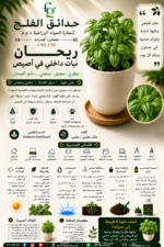 104. Basil Indoor Pot ARABIC