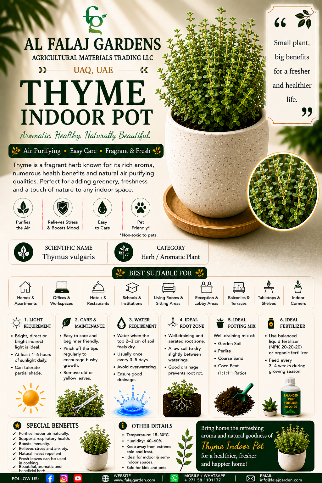 106.Thyme Indoor Pot ENG 106.Thyme Indoor Pot ENG