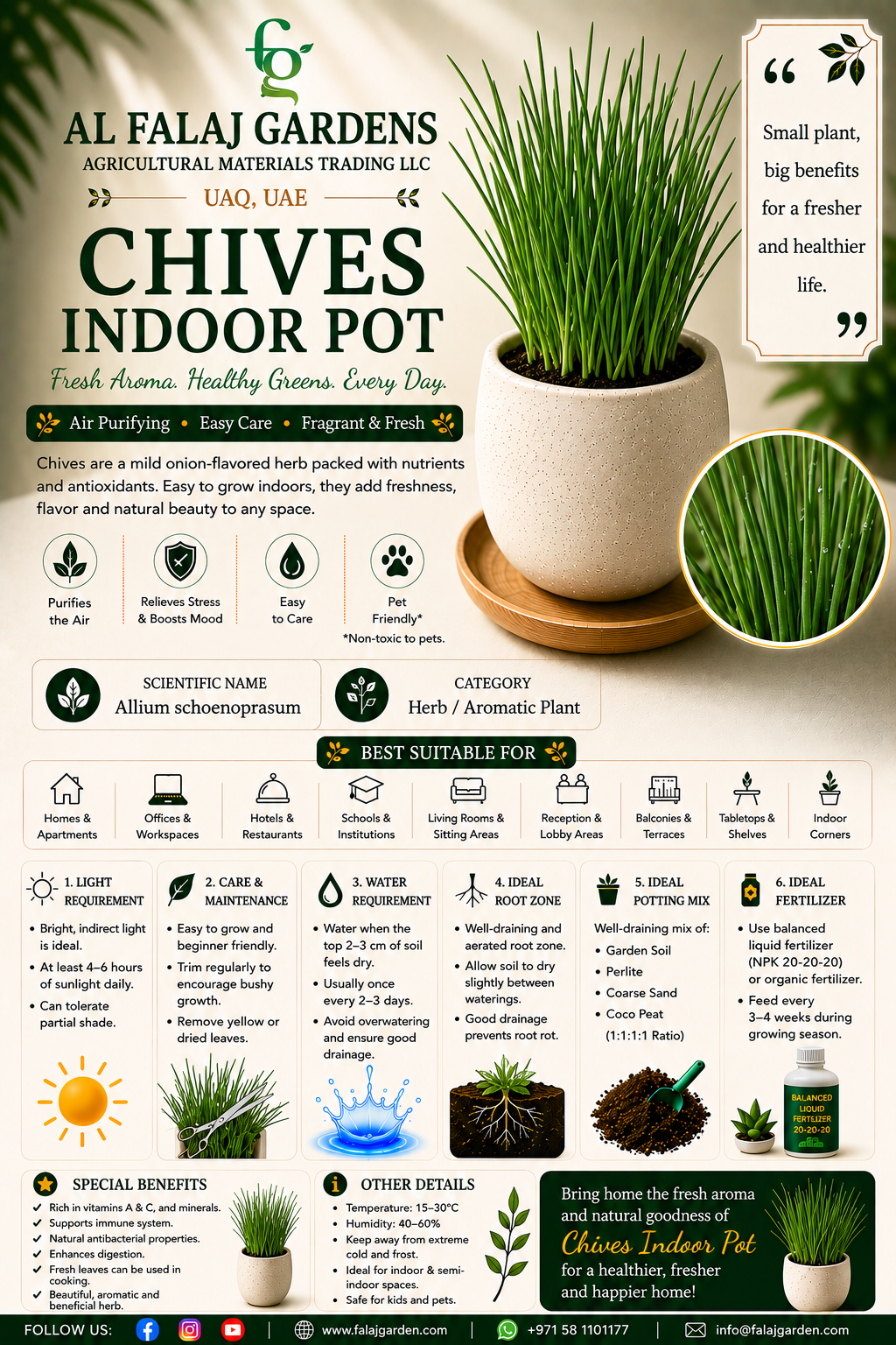 107. Chives Indoor Pot ENG 107. Chives Indoor Pot ENG