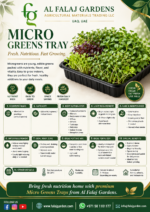 108. Microgreens Tray ENG