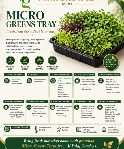 108. Microgreens Tray ENG
