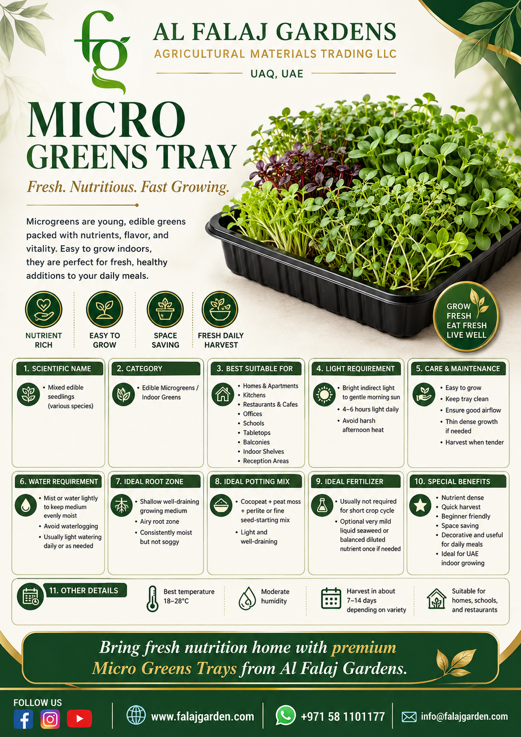 108. Microgreens Tray ENG 108. Microgreens Tray ENG