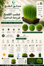 109. Wheatgrass ARABIC
