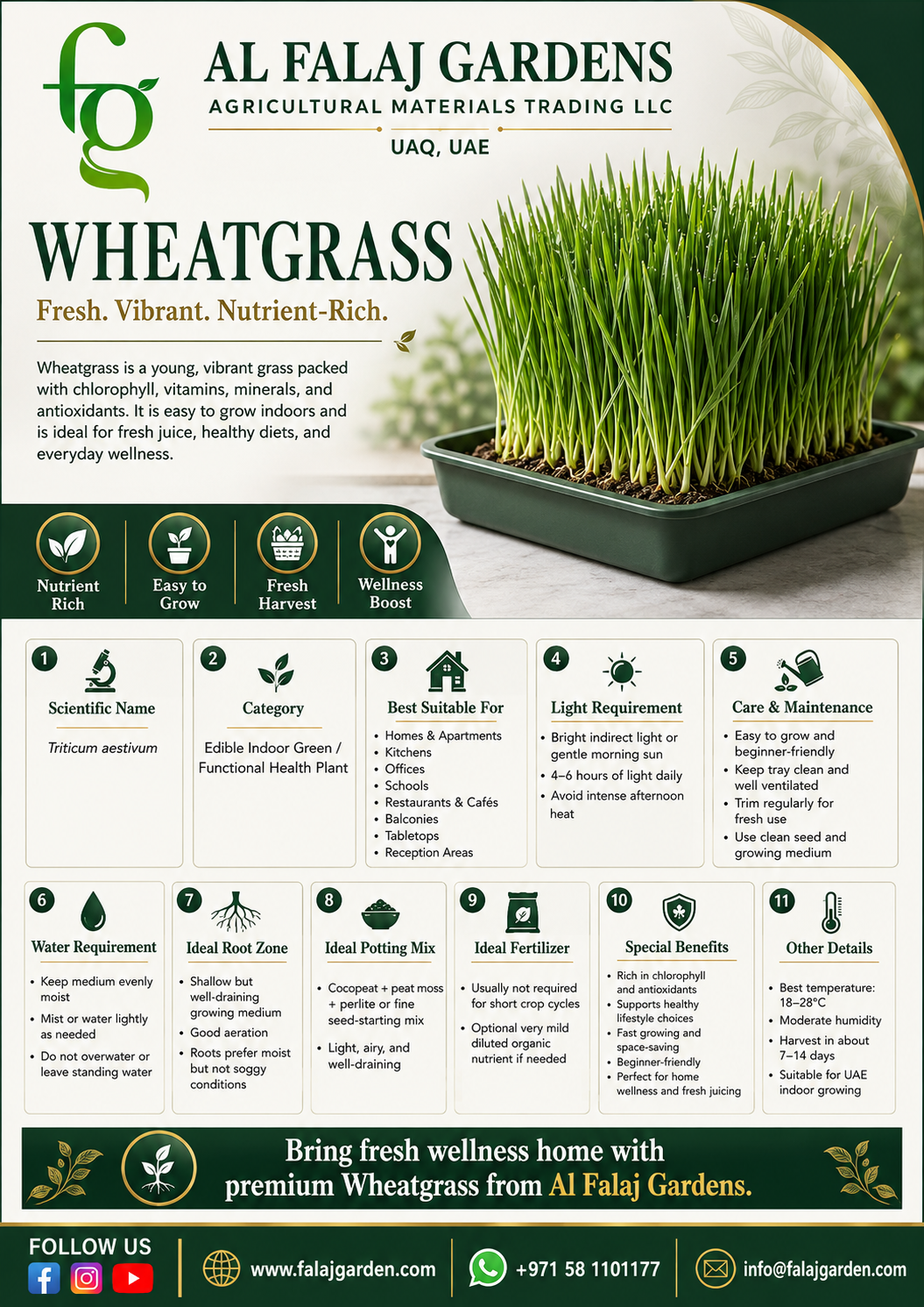 109. Wheatgrass ENG 109. Wheatgrass ENG