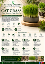 110. Cat Grass ENG