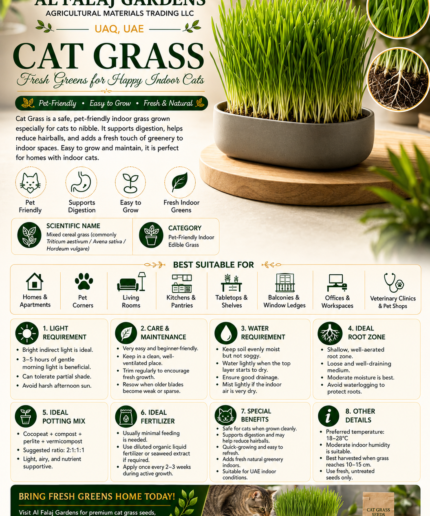 110. Cat Grass ENG