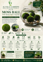 112. Moss Ball ENG