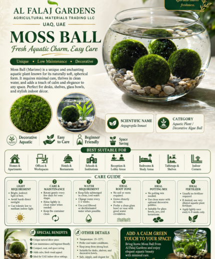 112. Moss Ball ENG