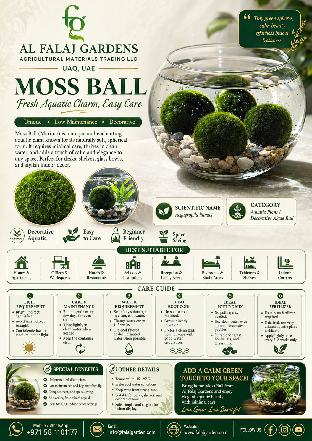112. Moss Ball ENG 112. Moss Ball ENG