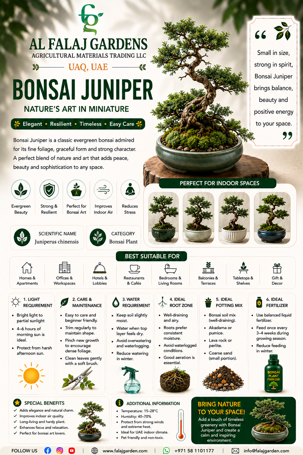 117. Bonsai Juniper ENG 117. Bonsai Juniper ENG