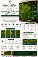 119. Moss Wall Plants Preserved Moss ARABIC