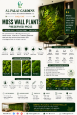 119. Moss Wall Plants Preserved Moss ENG