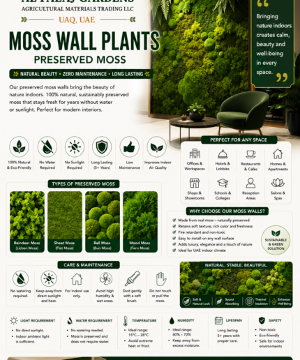 119. Moss Wall Plants Preserved Moss ENG