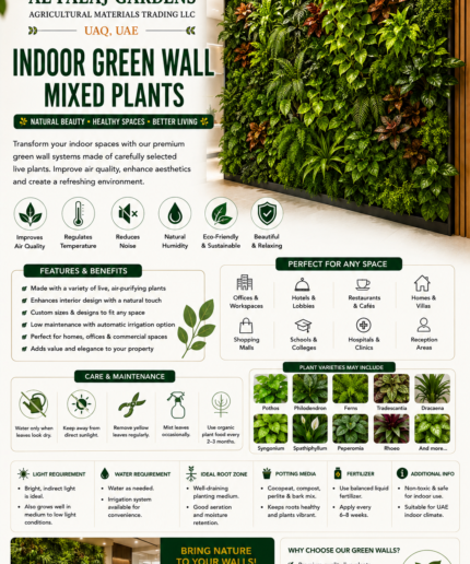 120. Indoor Green Wall Mixed Plants ENG