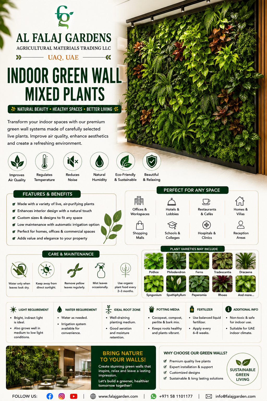 120. Indoor Green Wall Mixed Plants ENG 120. Indoor Green Wall Mixed Plants ENG