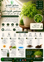 56. Maidenhair Fern ARABIC