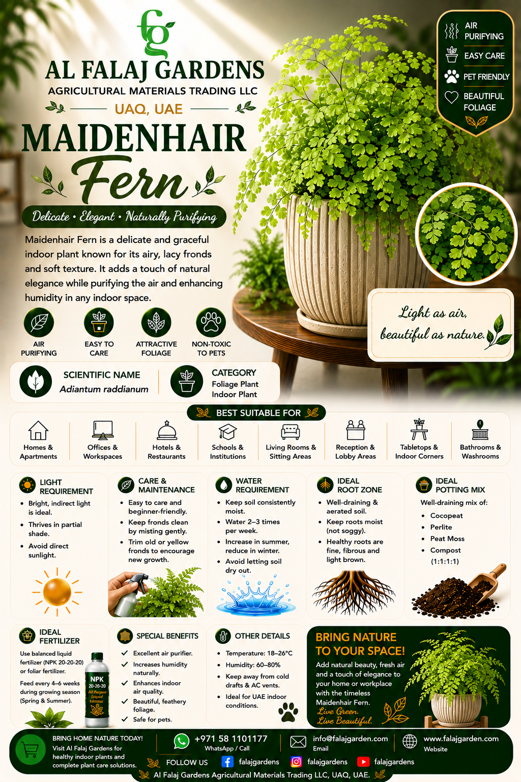 56. Maidenhair Fern ENG 56. Maidenhair Fern ENG
