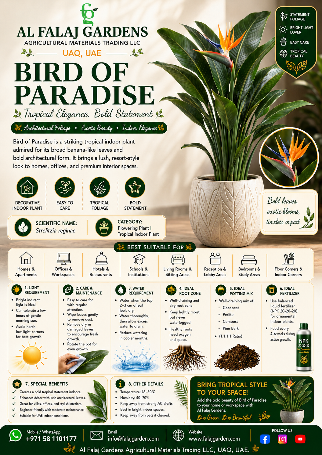 77. Bird of Paradise ENG 77. Bird of Paradise ENG