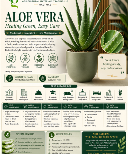 81. Aloe Vera ENG