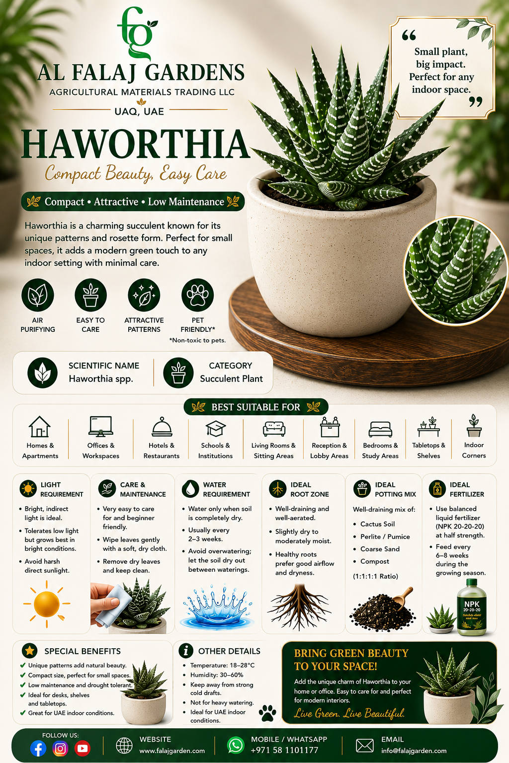 82. Haworthia ENG 82. Haworthia ENG
