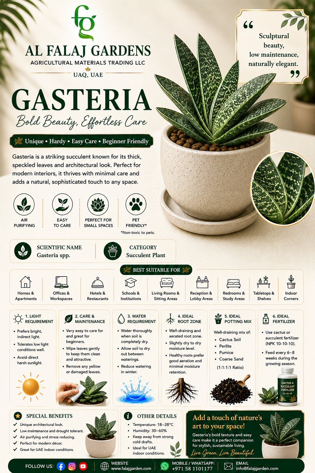 85. Gasteria ENG 85. Gasteria ENG