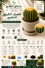 88. Golden Barrel Cactus ARABIC
