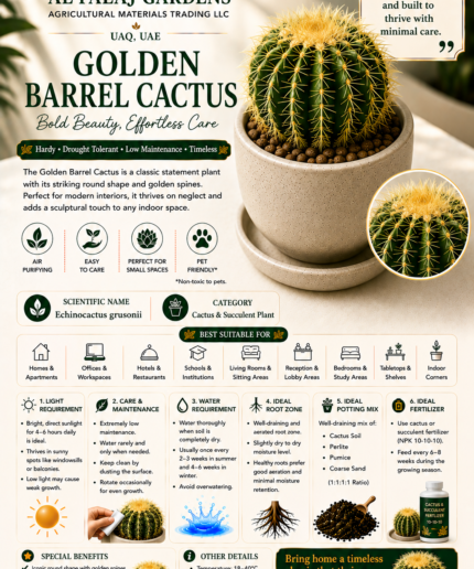 88. Golden Barrel Cactus ENG