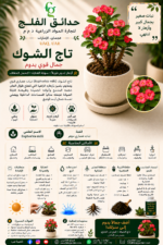 91. Crown of Thorns ARABIC