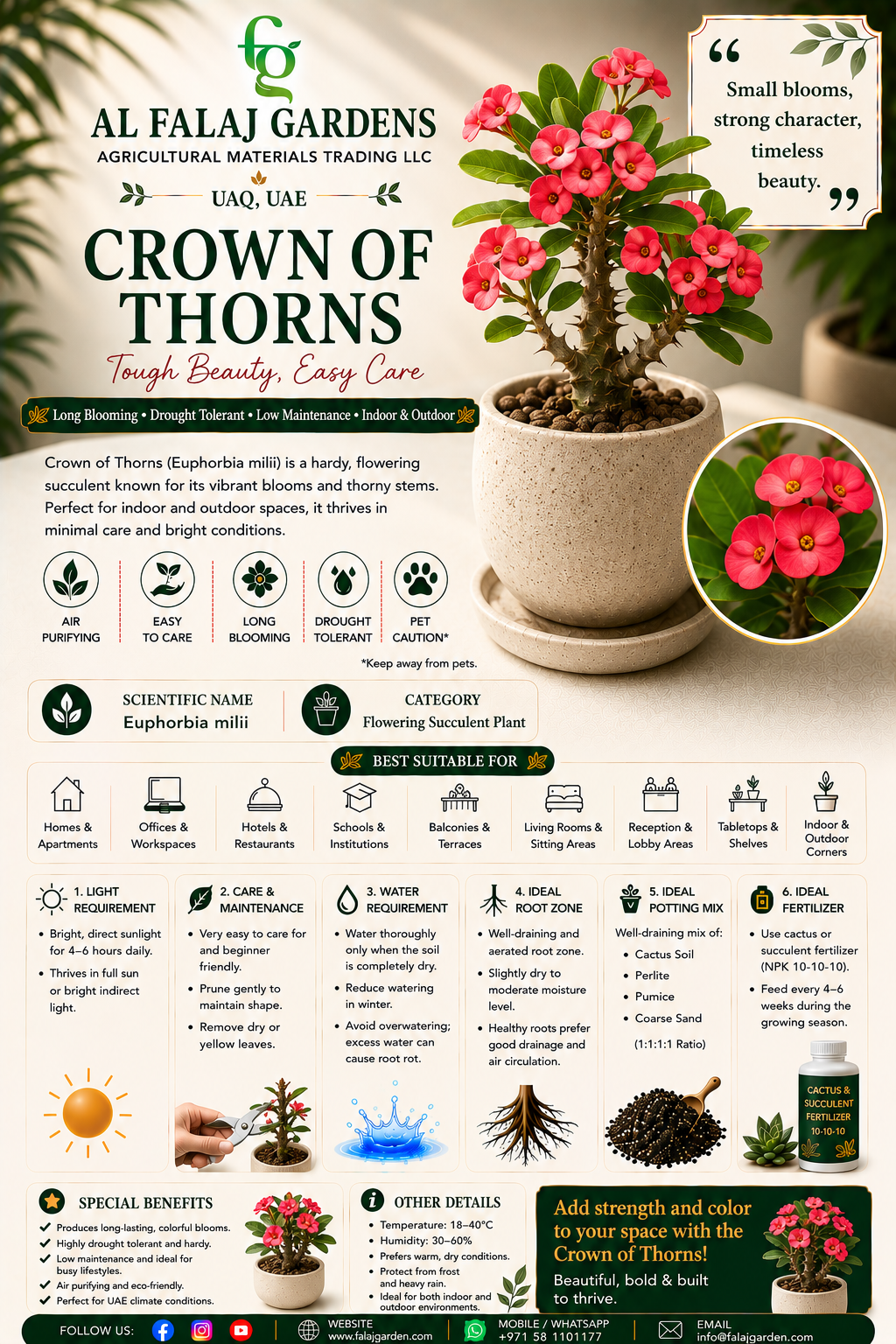 91. Crown of Thorns ENG 91. Crown of Thorns ENG