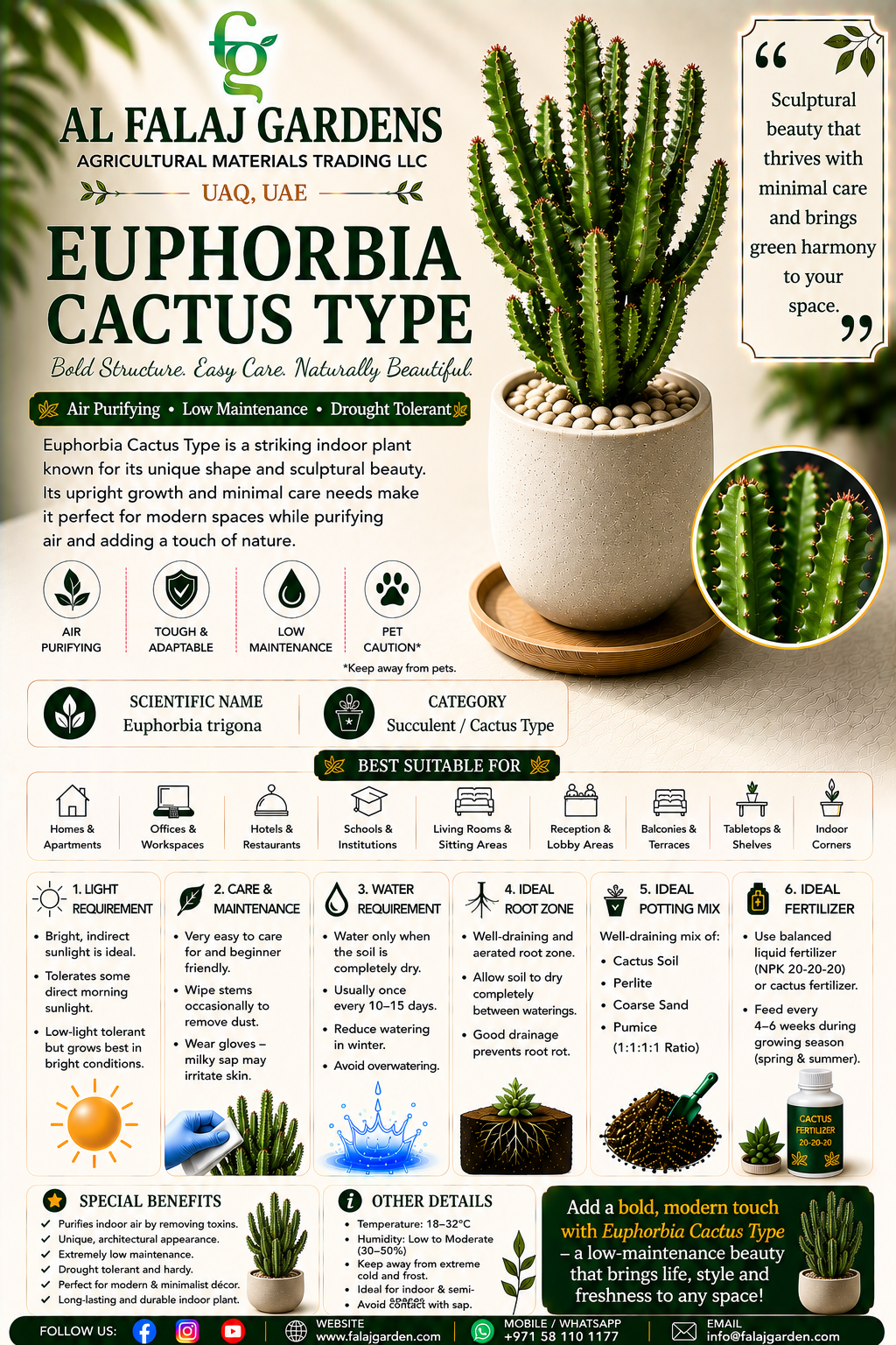92. Euphorbia Cactus Type ENG 92. Euphorbia Cactus Type ENG
