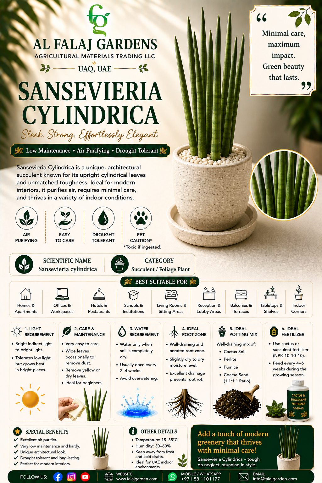 93. Sansevieria Cylindrica ENG 93. Sansevieria Cylindrica ENG